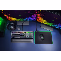 Razer BlackWidow Elite clavier USB AZERTY Anglais, Français Noir - Vue supplémentaire 5