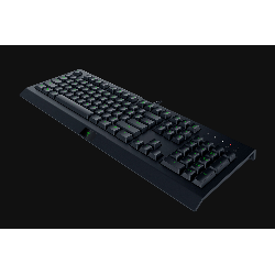 Razer Cynosa Lite clavier USB AZERTY Français Noir