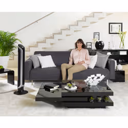 Rowenta Eole VU6670 Noir, Argent - Vue supplémentaire 6