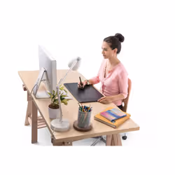 Wacom Intuos Pro L, FR & NL tablette graphique Noir 5080 lpi 325 x 203 mm USB - Vue supplémentaire 8