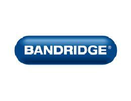 Bandridge