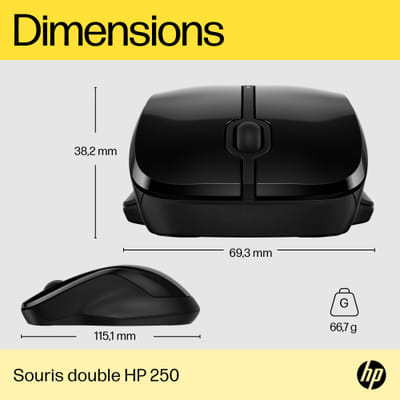 HP Double Mouse 250