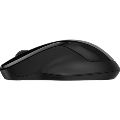 HP Double Mouse 250