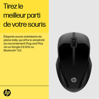 HP Double Mouse 250