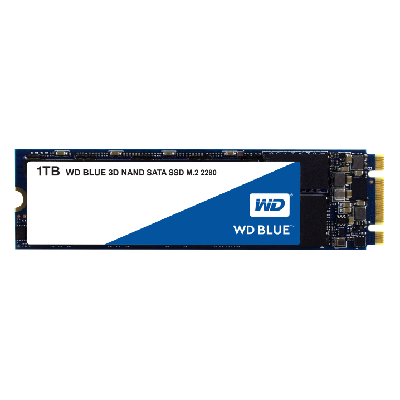 Western Digital Blue 3D M.2 1024 Go (WDS100T2B0B)