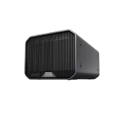 SanDisk G-RAID MIRROR disque dur externe 36 To Gris