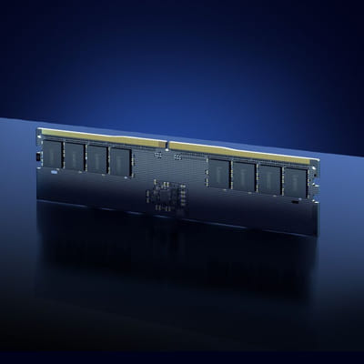 وحدة الذاكرة Lexar LD5U32G56C46ST-BGS 32 جيجابايت 1 x 32 جيجابايت DDR5 5600 MT/s 262 دبوس SO-DIMM ECC