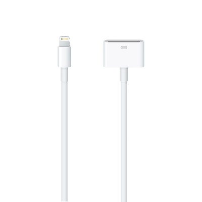 Apple MD824ZM/A câble Lightning 0,2 m Blanc Apple MD824ZM/A câble Lightning 0,2 m Blanc