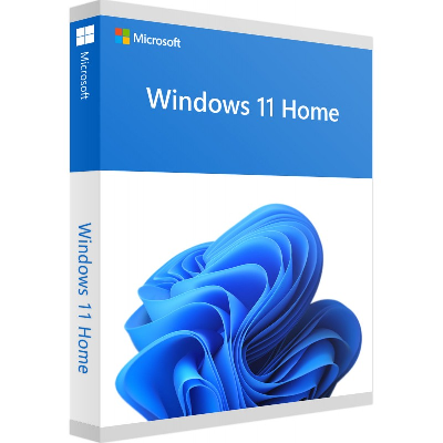 Microsoft Windows 11 Home 1 licence(s)