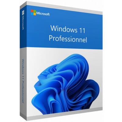 Microsoft Windows 11 Pro 1 licence(s)