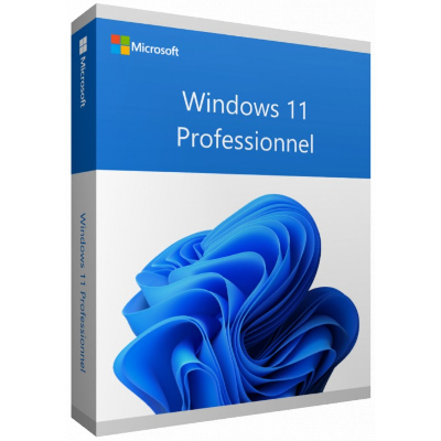 Microsoft Windows 11 Pro 1 licence(s)