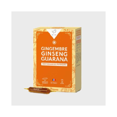 YVES PONROY Phytoconseils GINGEMBRE – GINSENG – GUARANA AMPOULES 20*10ml