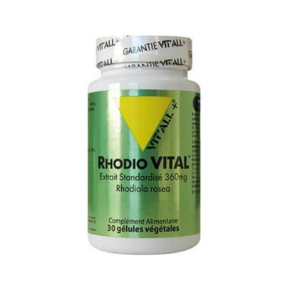 Rhodio Vital Extrait Standardise Rhodiola Rosea 360mg 30 Gélules Vit'All+
