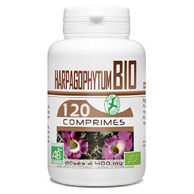 Gph Diffusion Harpagophytum Bio – 120 Comprimes