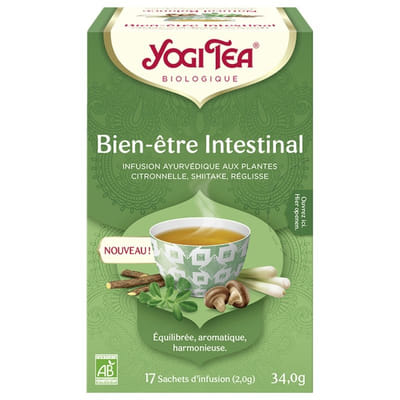 Intestinal Well-Being 17 Ayurvedic Infusion Sachets Bio Yogi Tea
