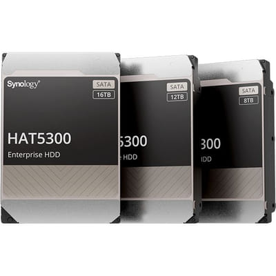 Synology HAT5300-16T disque dur 3.5" 16 To Série ATA III