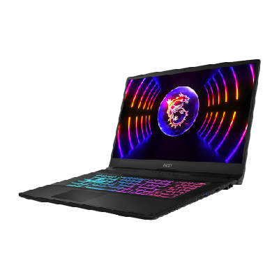 MSI Katana 17 B13VFK-087ES Ordinateur portable 43,9 cm (17.3") Intel® Core™ i7 i7-13620H 16 Go DDR5-SDRAM 1 To SSD NVIDIA GeForce RTX 4060 Wi-Fi 6 (802.11ax) Windows 11 Home Noir