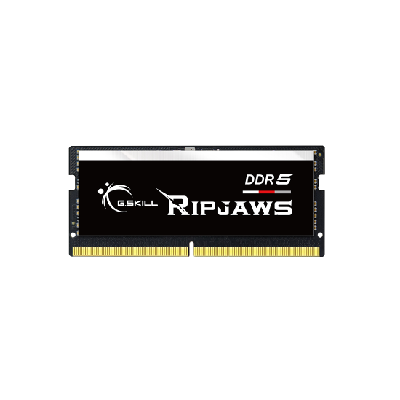 G.Skill Ripjaws F5-4800S3838A16GX1-RS Barrette Mémoire 16 Go 1 x 16 Go DDR5 4800 MHz G.Skill Ripjaws F5-4800S3838A16GX1-RS Barrette Mémoire 16 Go 1 x 16 Go DDR5 4800 MHz