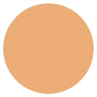 Covermark Fond de Teint Maquillage Camouflage Imperméable 15 ml - Teinte : 7