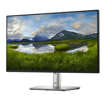 DELL Pro Plus P2425H شاشة مسطحة للكمبيوتر 60.5 سم (23.8") 1920 x 1080 بكسل فول اتش دي LCD أسود