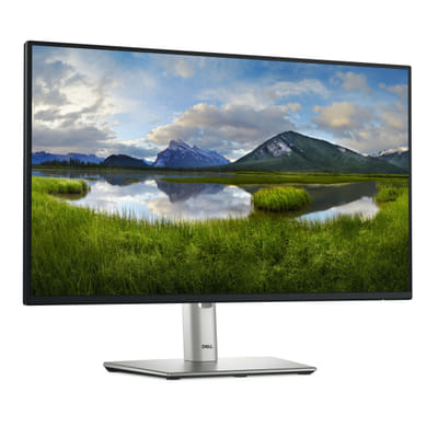 DELL Pro Plus P2425H شاشة مسطحة للكمبيوتر 60.5 سم (23.8") 1920 x 1080 بكسل فول اتش دي LCD أسود