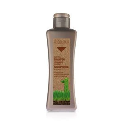 Salerm Cosmetics Shampoing argán 300 ml