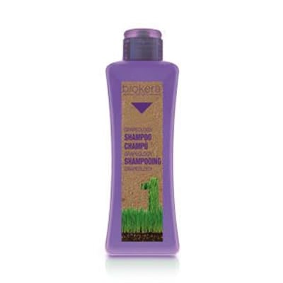 Salerm Cosmetics Shampoing grapeology 300 ml