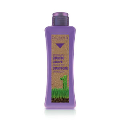 Salerm Cosmetics Shampoing grapeology 300 ml Salerm Cosmetics Shampoing grapeology 300 ml