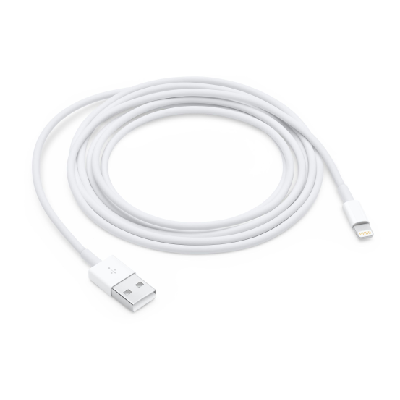 Apple Lightning - USB 2 m Blanc Apple Lightning - USB 2 m Blanc