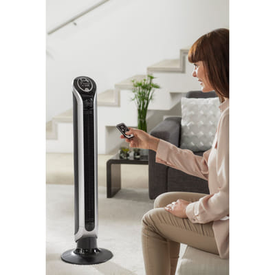 Rowenta Eole VU6670 Noir, Argent