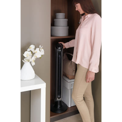 Rowenta Eole VU6670 Noir, Argent