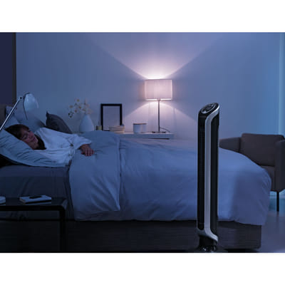 Rowenta Eole VU6670 Noir, Argent