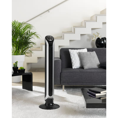 Rowenta Eole VU6670 Noir, Argent