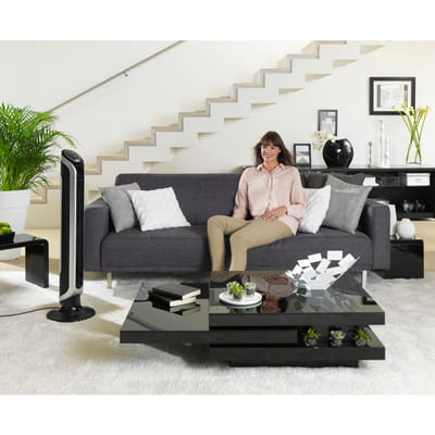 Rowenta Eole VU6670 Noir, Argent