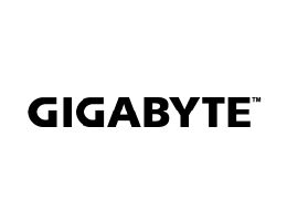 Gigabyte