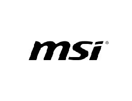 MSI